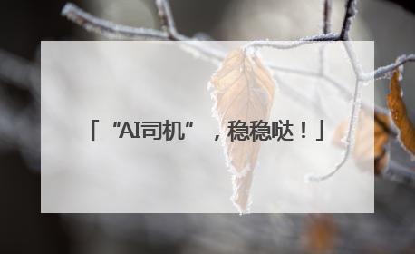“AI司机”，稳稳哒！