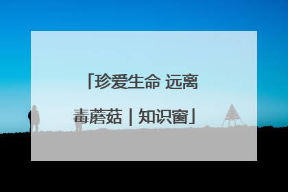 珍爱生命 远离毒蘑菇｜知识窗