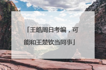 王皓周日考编，可能和王楚钦当同事