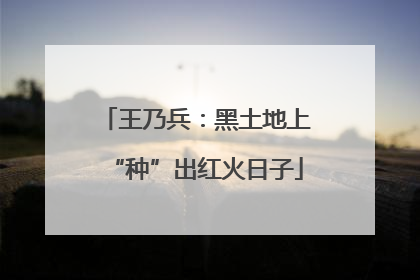 王乃兵：黑土地上“种”出红火日子
