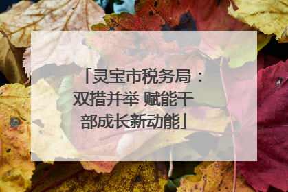灵宝市税务局：双措并举 赋能干部成长新动能