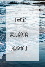 灵宝：麦浪滚滚抢收忙