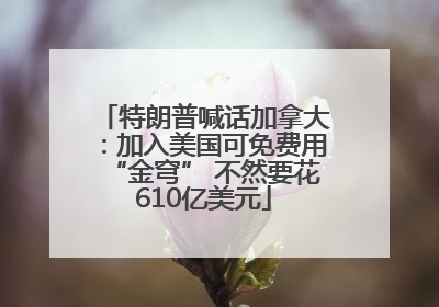 特朗普喊话加拿大：加入美国可免费用“金穹” 不然要花610亿美元