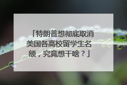 特朗普想彻底取消美国各高校留学生名额，究竟想干啥？