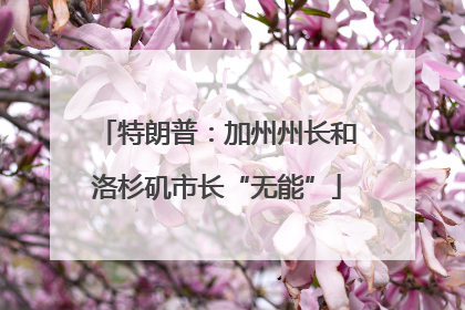 特朗普：加州州长和洛杉矶市长“无能”