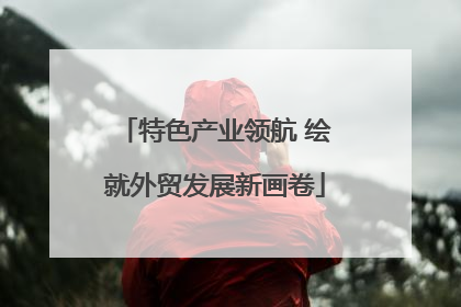 特色产业领航 绘就外贸发展新画卷