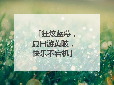 狂炫蓝莓，夏日游黄陂，快乐不宕机