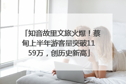 知音故里文旅火爆！蔡甸上半年游客量突破1159万，创历史新高
