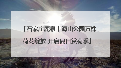 石家庄鹿泉丨海山公园万株荷花绽放 开启夏日赏荷季