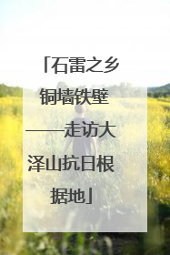 石雷之乡 铜墙铁壁——走访大泽山抗日根据地