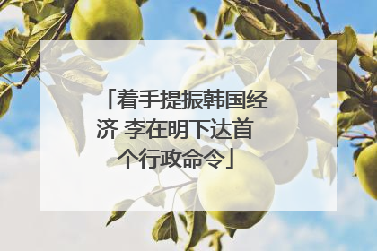 着手提振韩国经济 李在明下达首个行政命令