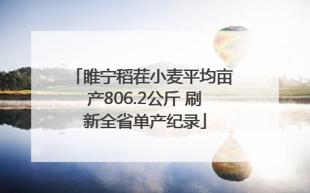 睢宁稻茬小麦平均亩产806.2公斤 刷新全省单产纪录