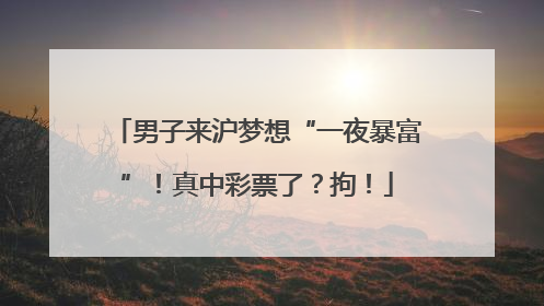 男子来沪梦想“一夜暴富”！真中彩票了？拘！