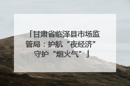 甘肃省临泽县市场监管局：护航“夜经济” 守护“烟火气”