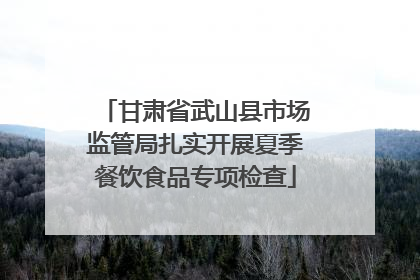 甘肃省武山县市场监管局扎实开展夏季餐饮食品专项检查