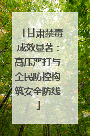 甘肃禁毒成效显著：高压严打与全民防控构筑安全防线