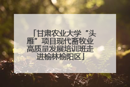 甘肃农业大学“头雁”项目现代畜牧业高质量发展培训班走进榆林榆阳区