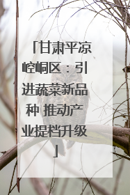 甘肃平凉崆峒区：引进蔬菜新品种 推动产业提档升级