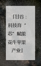 甘谷：科技育“芯”赋能花牛苹果产业