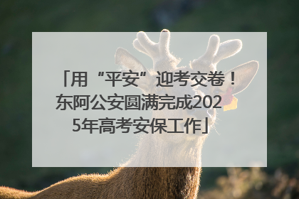 用“平安”迎考交卷！东阿公安圆满完成2025年高考安保工作