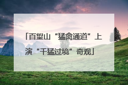 百望山“猛禽通道”上演“千猛过境”奇观