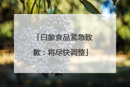 白象食品紧急致歉：将尽快调整