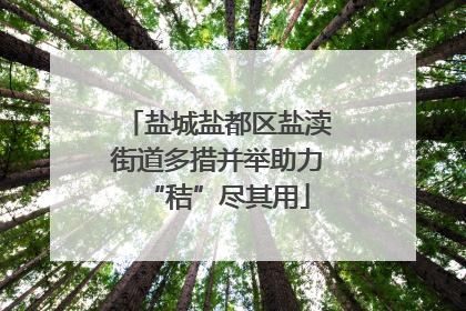 盐城盐都区盐渎街道多措并举助力“秸”尽其用