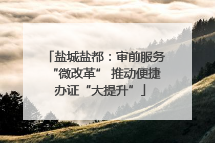 盐城盐都：审前服务“微改革” 推动便捷办证“大提升”
