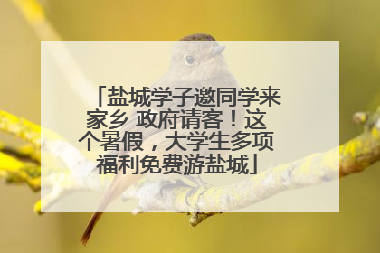 盐城学子邀同学来家乡 政府请客！这个暑假，大学生多项福利免费游盐城