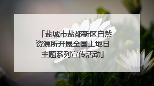 盐城市盐都新区自然资源所开展全国土地日主题系列宣传活动