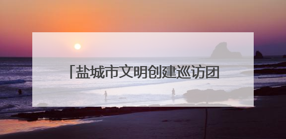盐城市文明创建巡访团开展“党员亮身份服务当先锋”文明实践活动
