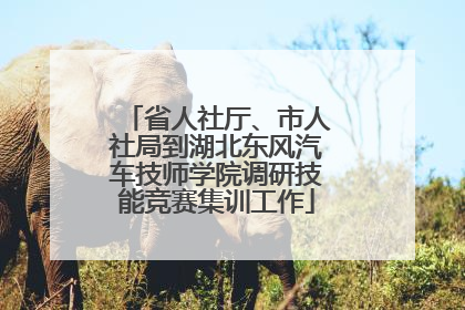 省人社厅、市人社局到湖北东风汽车技师学院调研技能竞赛集训工作