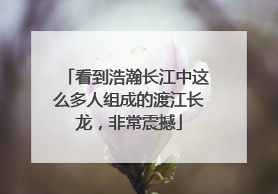 看到浩瀚长江中这么多人组成的渡江长龙，非常震撼