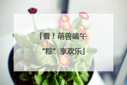 看！萌兽端午“粽”享欢乐