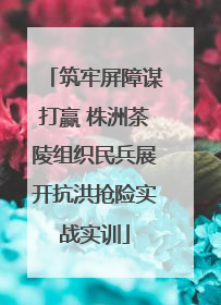 筑牢屏障谋打赢 株洲茶陵组织民兵展开抗洪抢险实战实训
