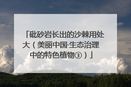 砒砂岩长出的沙棘用处大（美丽中国·生态治理中的特色植物③）