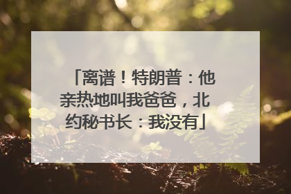 离谱！特朗普：他亲热地叫我爸爸，北约秘书长：我没有