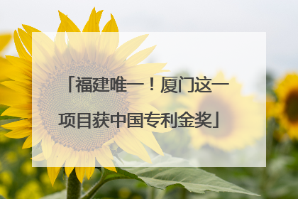 福建唯一！厦门这一项目获中国专利金奖
