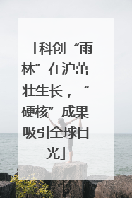 科创“雨林”在沪茁壮生长，“硬核”成果吸引全球目光