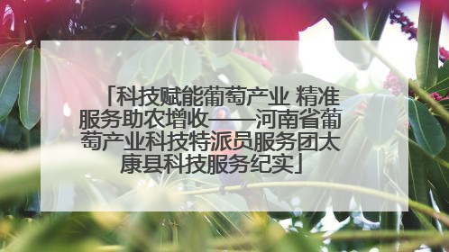 科技赋能葡萄产业 精准服务助农增收——河南省葡萄产业科技特派员服务团太康县科技服务纪实