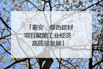 秦安：绿色建材项目赋能工业经济高质量发展