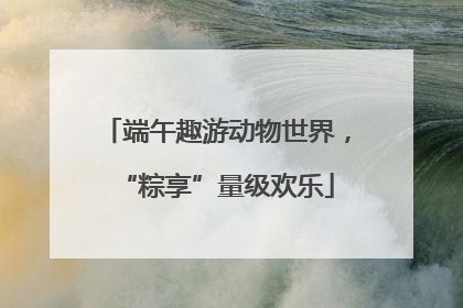 端午趣游动物世界，“粽享”量级欢乐