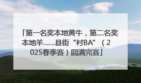 第一名奖本地黄牛，第二名奖本地羊……县街“村BA”（2025春季赛）圆满完赛