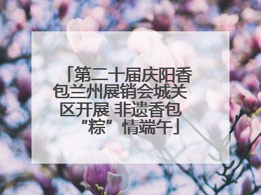 第二十届庆阳香包兰州展销会城关区开展 非遗香包“粽”情端午