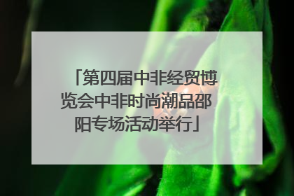 第四届中非经贸博览会中非时尚潮品邵阳专场活动举行