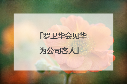 罗卫华会见华为公司客人