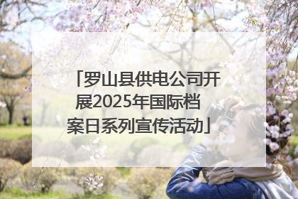 罗山县供电公司开展2025年国际档案日系列宣传活动