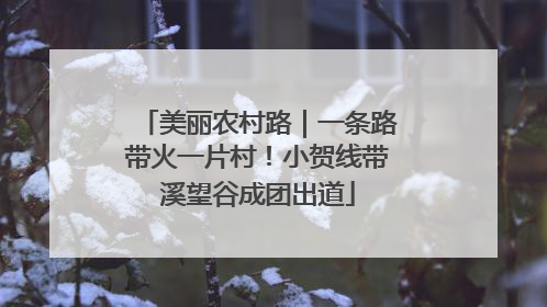 美丽农村路｜一条路带火一片村！小贺线带溪望谷成团出道