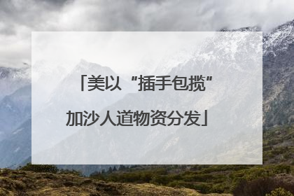 美以“插手包揽”加沙人道物资分发