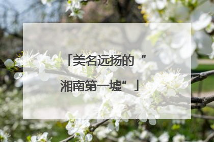 美名远扬的“湘南第一墟”